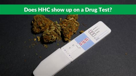 Does HHC Show Up in a Drug Test: A Detailed Analysis