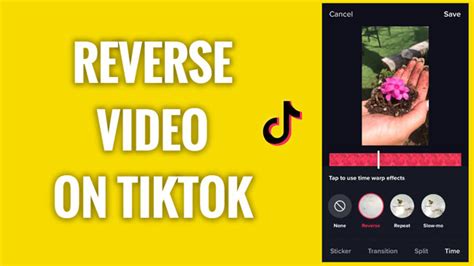 how to reverse a video on tiktok and explore the art of time manipulation in media