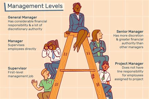 is a director higher than a manager How can we effectively communicate the hierarchical differences between these two roles in an organization?